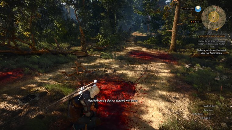 The Witcher 3: Wild Hunt - Best Narrative-Driven RPG Romance